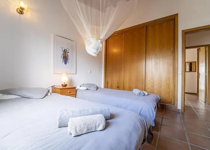 Alaia - The Perfect Getaway * 알제주르