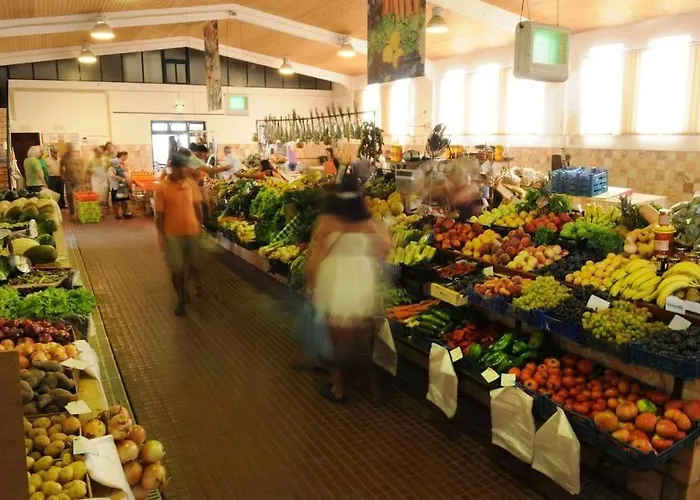 Alaia - The Perfect Getaway * 알제주르